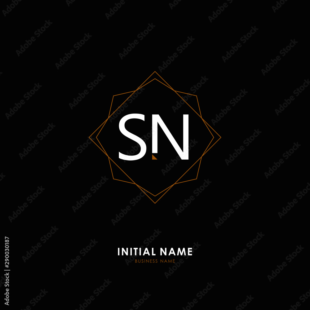 S N SN Initial logo letter with minimalist concept. Vector with scandinavian style logo. S N SN Initial logo letter with minimalist concept. Vector with scandinavian style logo.