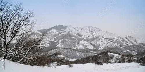Winter day in the mountains, panorama
