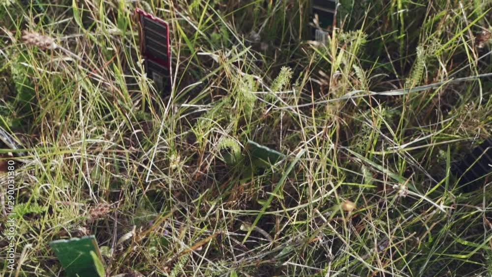 Technology blending with nature. Futuristic concept of farm or e-waste. Computer parts RAM (Random access memory) are growing in ground between grass. Technology blending with nature. Futuristic concept of farm or e-waste. Computer parts RAM (Random access memory) are growing in ground between grass.