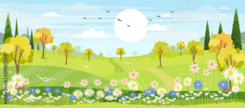 Panorama view of spring village with green meadow on hills with blue sky, Vector cartoon Spring or Summer landscape of countryside with mountains with wild flowers fields