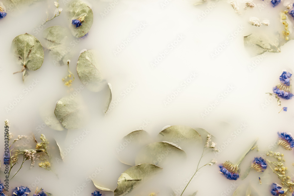 Delicate dark blue flowers in white colored water Delicate dark blue flowers in white colored water