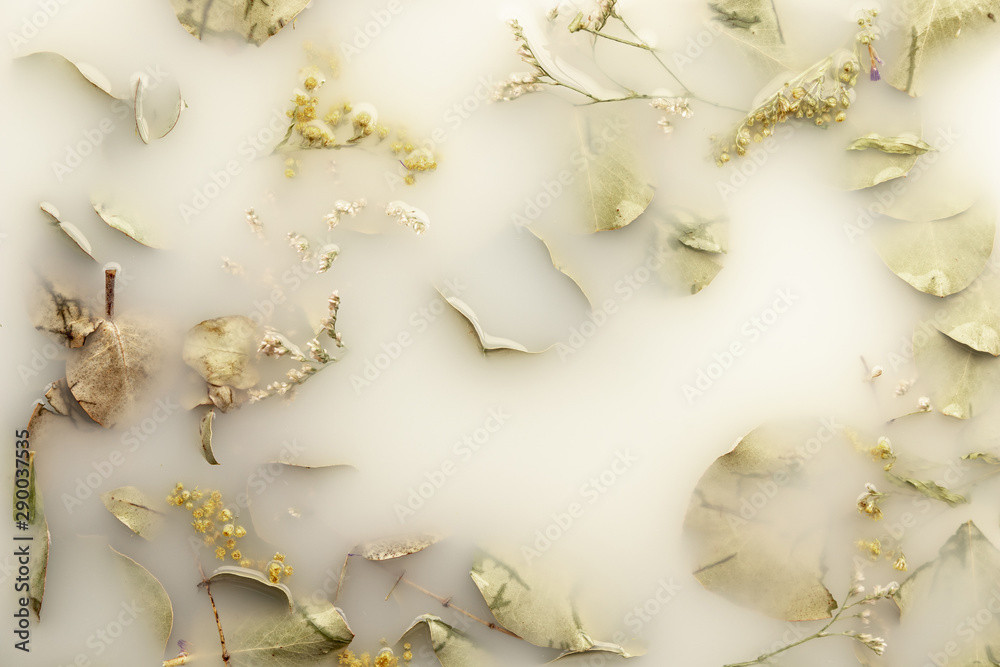 Pale leaves in white colored water Pale leaves in white colored water