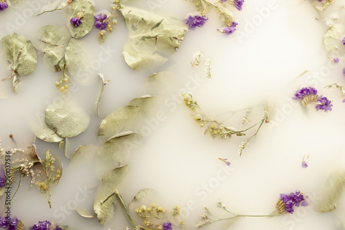 Fototapeta Naklejka Na Ścianę i Meble -  Flat lay little purple flowers in white colored water