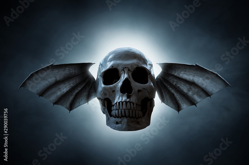 Fototapeta Naklejka Na Ścianę i Meble -  Skull with wings on dark background