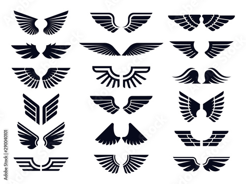 Obraz na płótnie Silhouette pair of wings icon