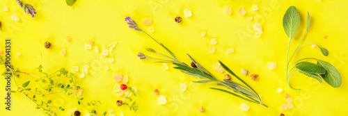 Fotografie Herbs and spices, shot from the top on a vibrant yellow background, flat lay pan