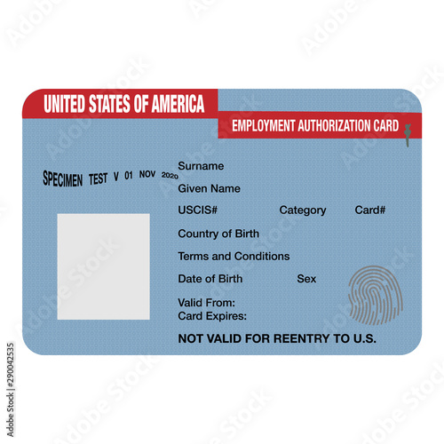 Employment authorization document or EAD card mockup. known popularly as a work permit, issued by  USCIS to noncitizens in the United States.