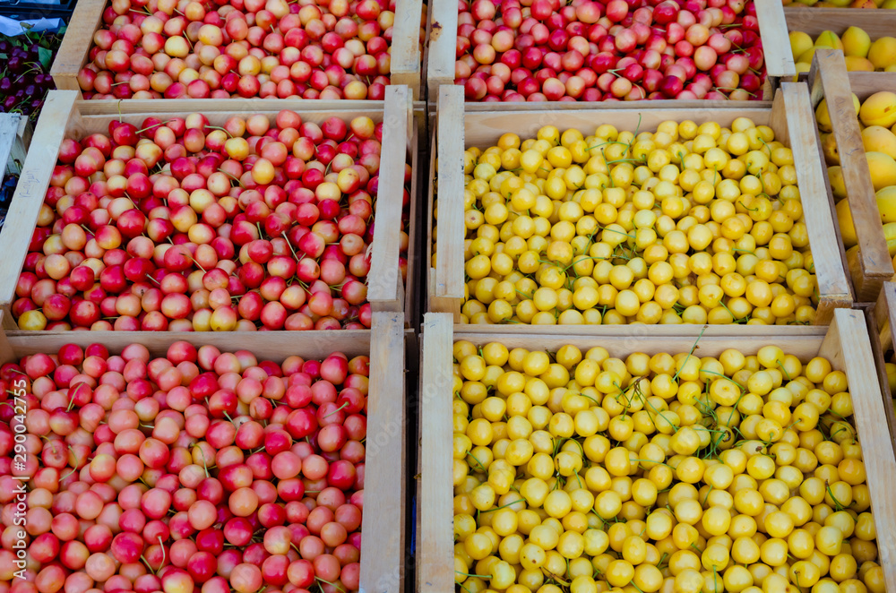 Cherries are red and yellow in boxes.