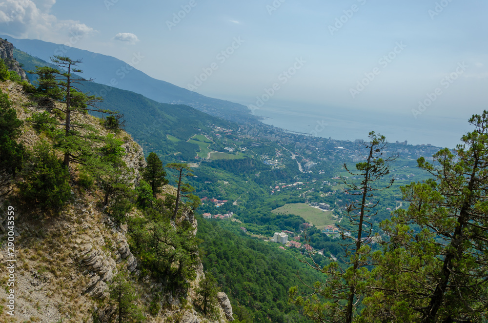 Fototapeta premium In summer, the mountains are covered with coniferous forest.