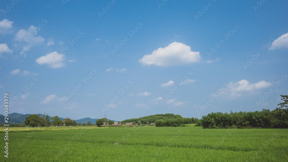 Landscape at Archaeological Ruins of Liangzhu City,  Hangzhou, China