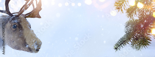 Christmas Santa Claus deer and Christmas tree on blue snow background © Konstiantyn
