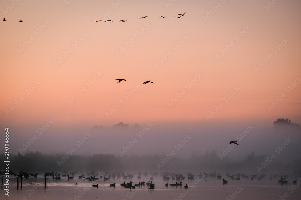 Ilperveld