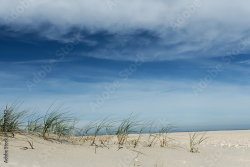 Beach Clouds Sand And Grass