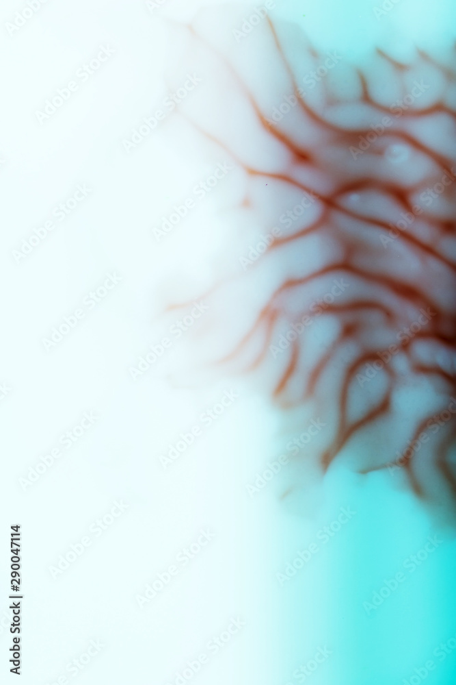 Defocused close-up abstract of human veins Defocused close-up abstract of human veins