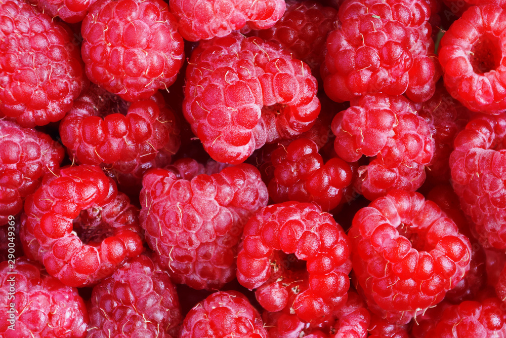 Raspberry. Ripe Berries for Background Raspberry. Ripe Berries for Background