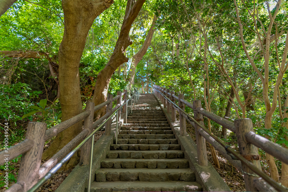 Fototapeta premium 静岡県駿東郡清水町 柿田川湧水公園 名水100選