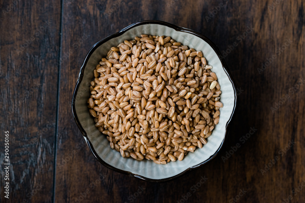 Karakilcik Organic Wheat Grains Seed in Bowl. Karakilcik Organic Wheat Grains Seed in Bowl.