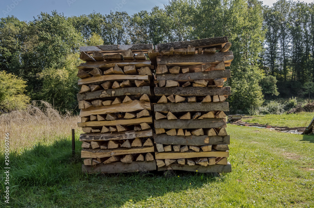 Stacked wood logs for drying in a Belgian Stacked wood logs for drying in a Belgian