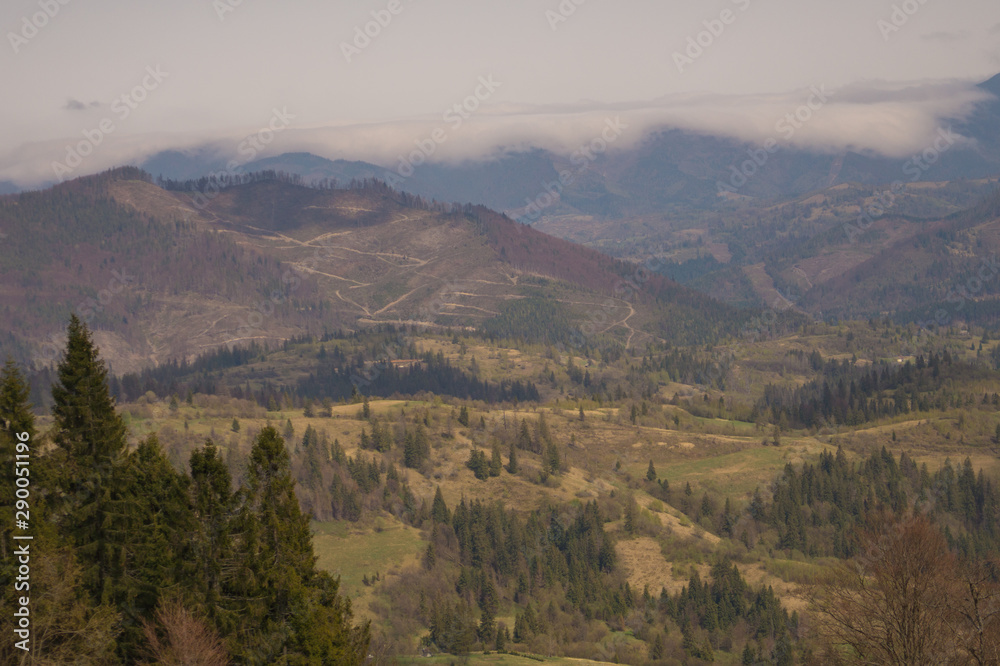 Mountain trip, cable car ride with mountain and forest view.