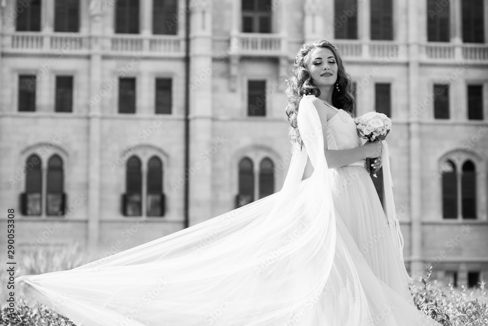 Elegant romantic woman in blue sexy dress with flowers standing near the buiding in Prague. Dressed in blue fluttering dress. Pretty woman with makeup and hairstyle. Black and white Elegant romantic woman in blue sexy dress with flowers standing near the buiding in Prague. Dressed in blue fluttering dress. Pretty woman with makeup and hairstyle. Black and white
