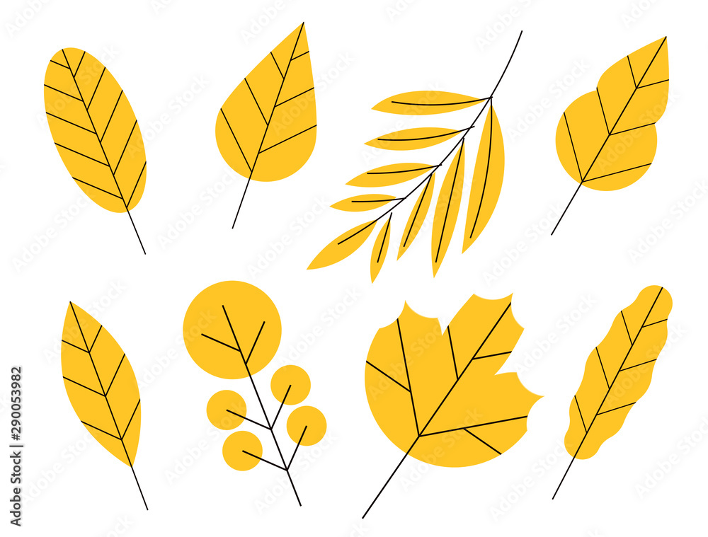 Vector set of doodle floral elements. Autumn collection. Flower graphic design. Autumn leaves collection. Flower graphic design. Hand drawn vector botany set.