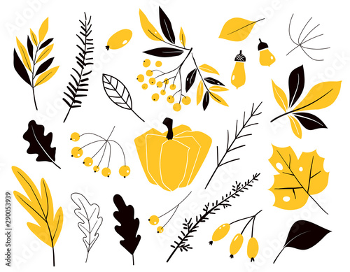 Set of autumn leaves in cartoon style.Vector with doodle leafs. Autumn collection. Flower graphic design. Hand drawn vector botany. Modern fall seasonal decor.