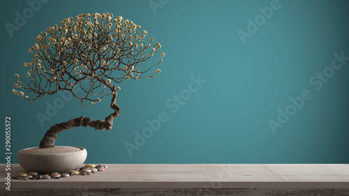 Vintage wooden table shelf with pebble and potted bloom bonsai, white flowers, ciano colored background with copy space, zen concept interior design photo