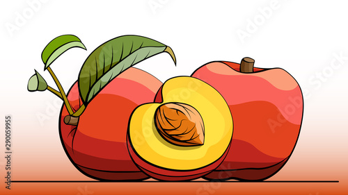 Vector illustration of fruit peaches on line.