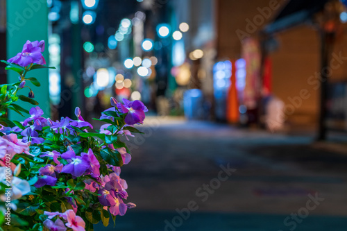 夜の街角の花