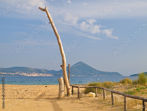 Foto Sandy beach, bare tree trunks and wooden fence, Gialova, Peloponnese Greece