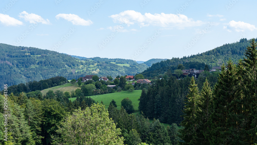 Schwarzwald Landschaft