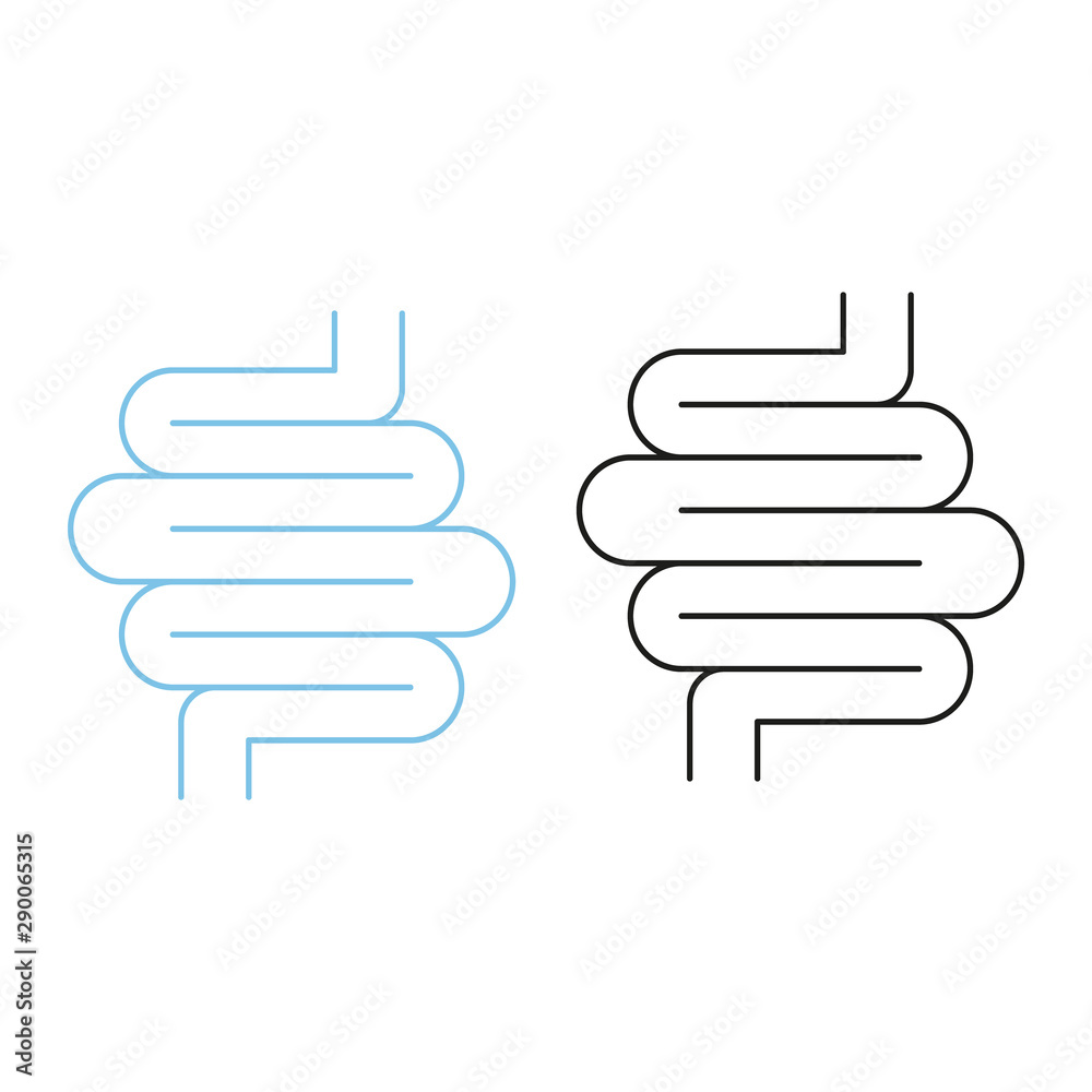 Icon digestive tractvector on white background Icon digestive tractvector on white background