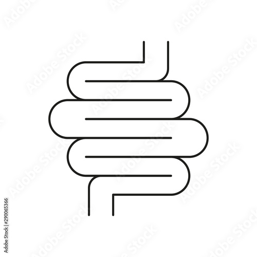 Digestive system vector icon isolated on white background