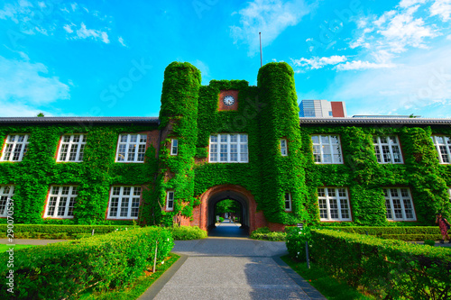 大学