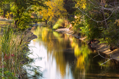 Fototapeta Naklejka Na Ścianę i Meble -  Fall foliage along creek in Johns Landing area of Collister Neighborhood in Boise Idaho