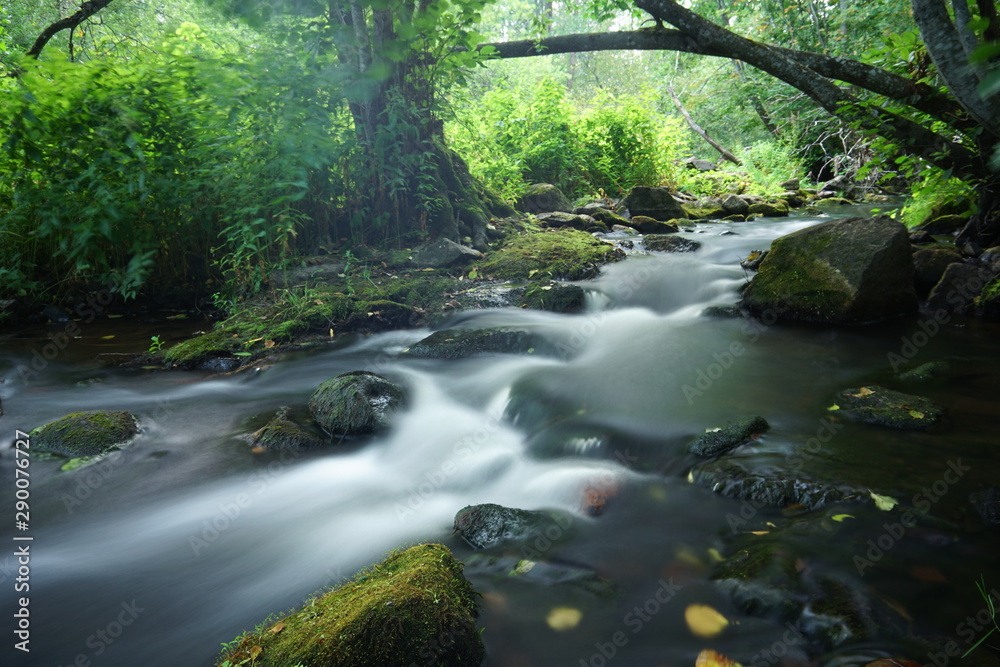 Small rocky river in the middle of forest Small rocky river in the middle of forest