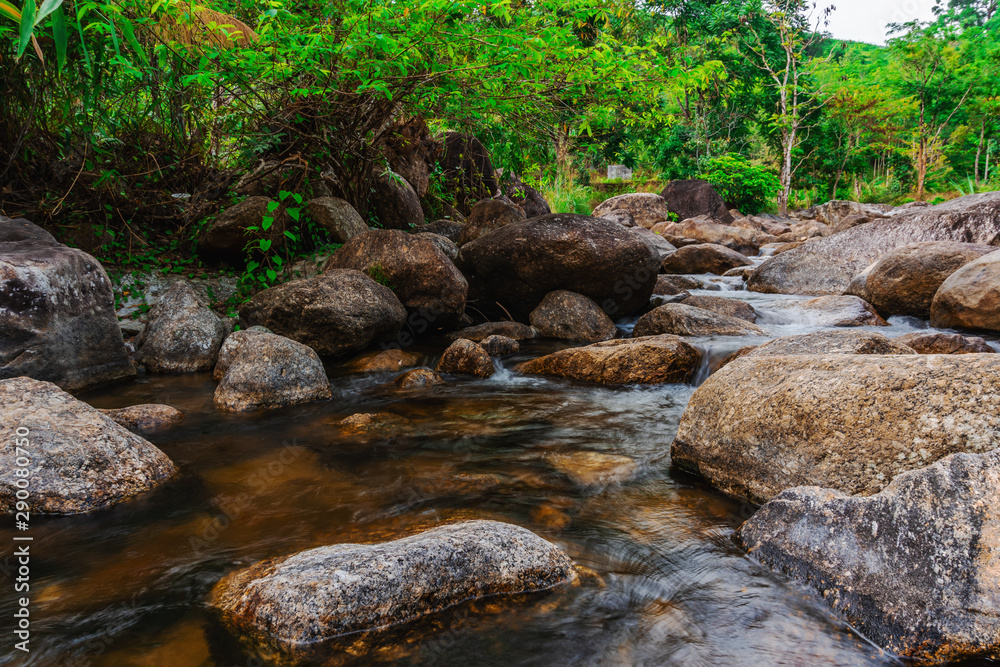 River stone and tree colorful, View water river tree in forest River stone and tree colorful, View water river tree in forest