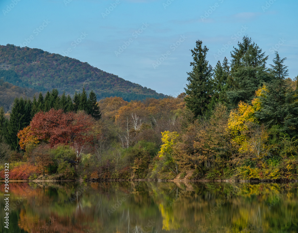 Autumn trees around lake 