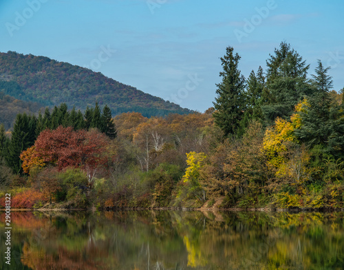 Autumn trees around lake 