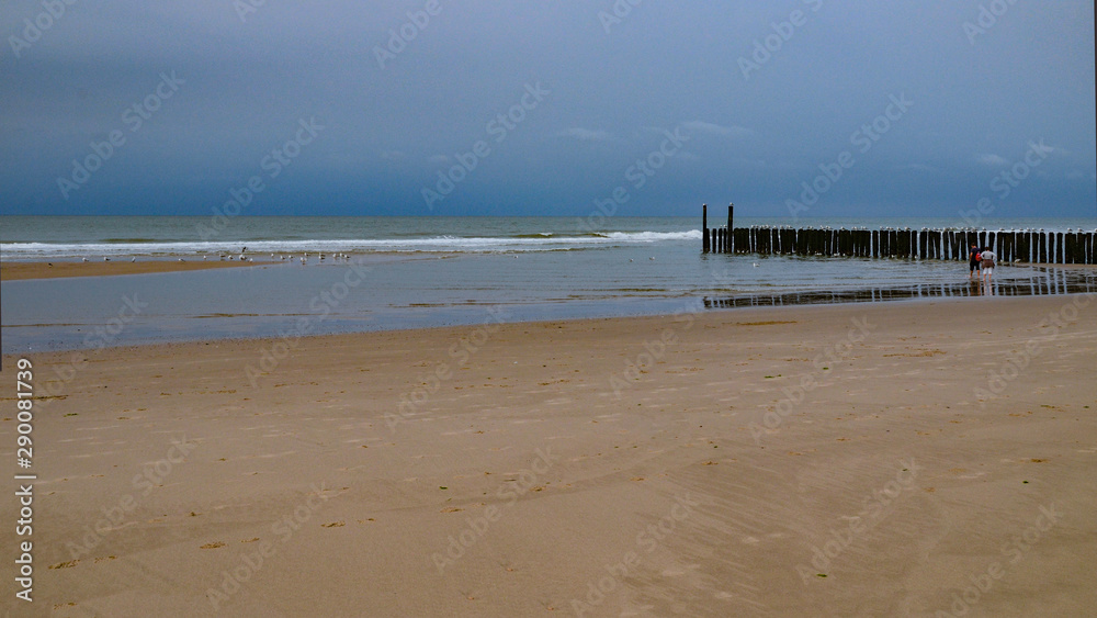 Blick auf Buhne ( Holzpfosten ) am Strand im Meer an der Nordsee / Ostsee