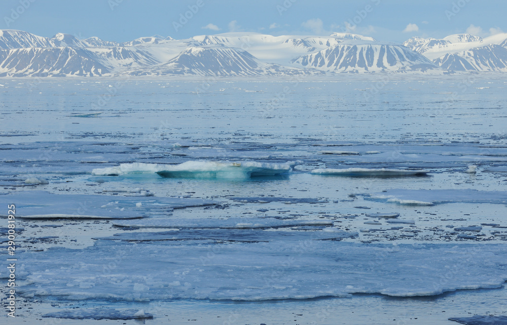 Ice in Arctic landscape Ice in Arctic landscape