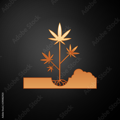Gold Planting marijuana or cannabis plant in the ground icon isolated on black background. Marijuana growing concept. Hemp symbol. Vector Illustration