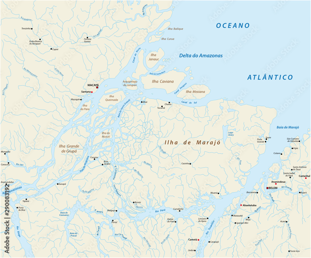 Detailed vector map of the mouth of the Amazon River in the Atlantic Ocean, Brazil