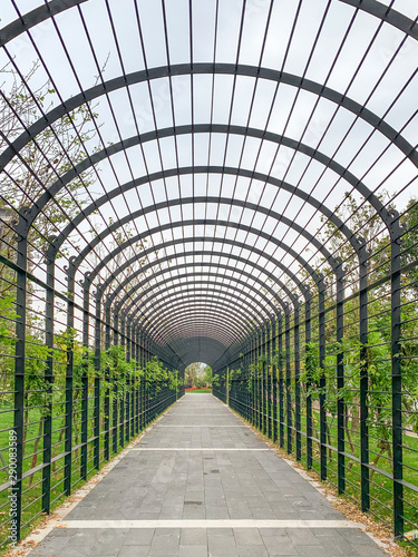Walkway through tunnel filled with shrub and trees in a small street park