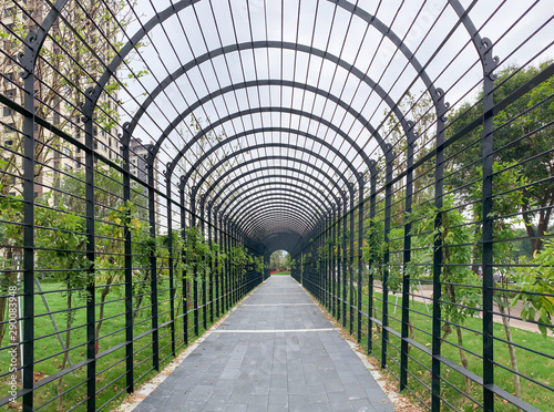Walkway through tunnel filled with shrub and trees in a small street park photo