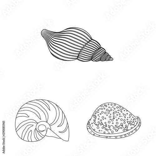 Vector illustration of exotic and seafood sign. Set of exotic and aquatic stock symbol for web. © Svitlana