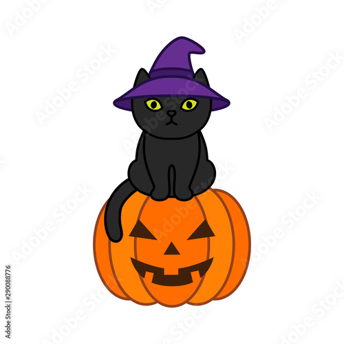 Black cat in a witch hat sits on a halloween pumpkin © Marina Storm