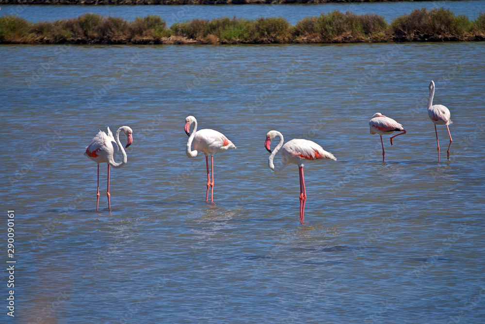 Sardinia - Island of San Pietro