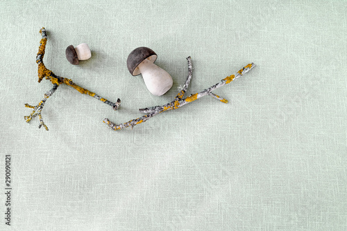 Wooden mushroom penny bun and weathered branch on canvas background.