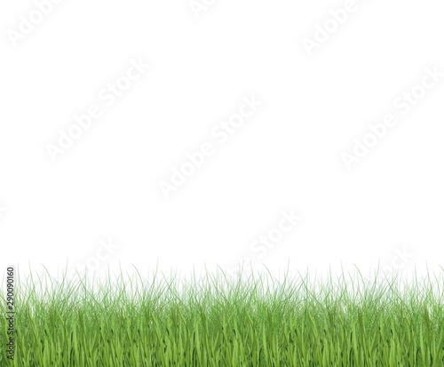 Meadow on a white background
